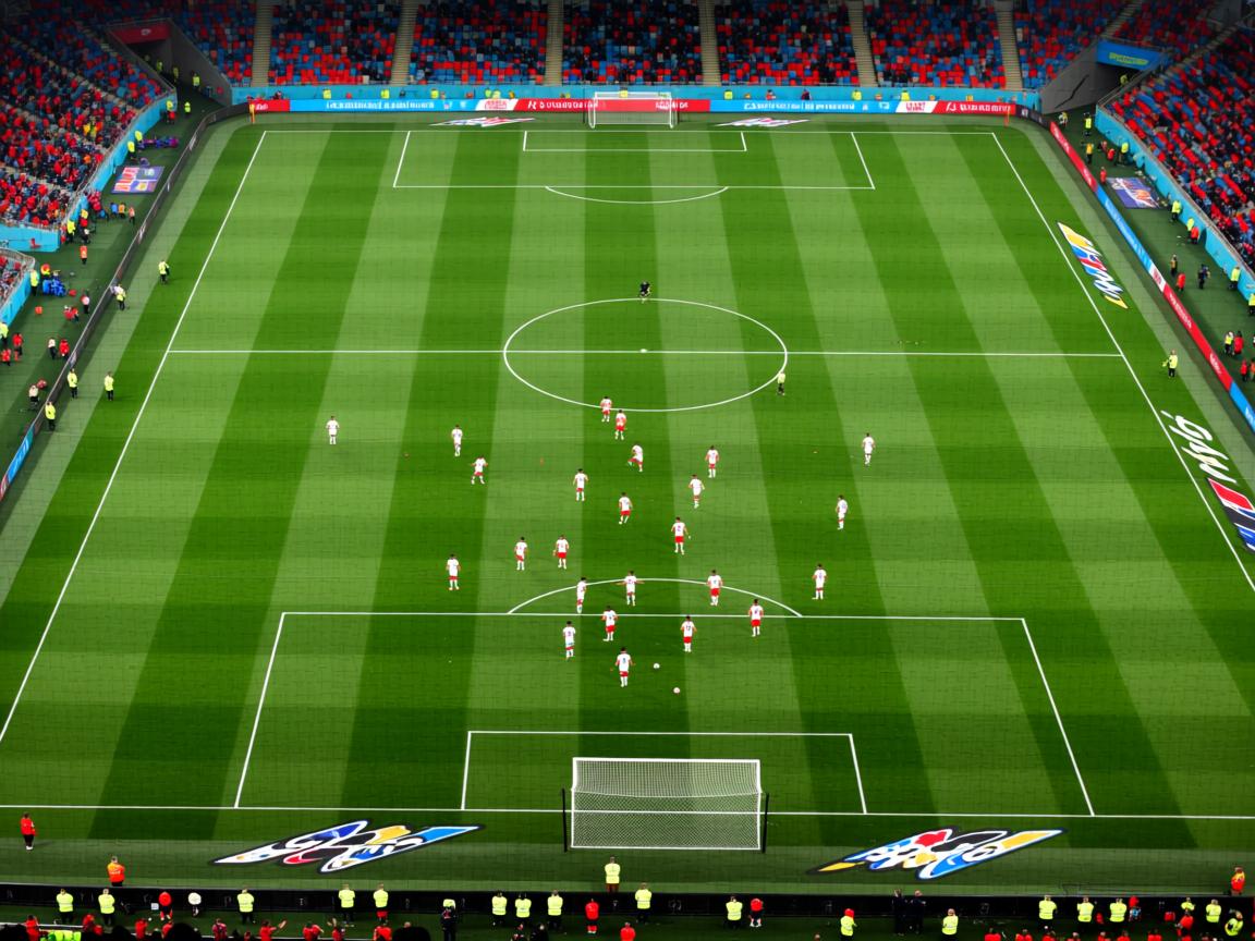 星空app官网-技术图谱：蛙泳四大环节逐项评分，蛙泳技术动作分析  第3张